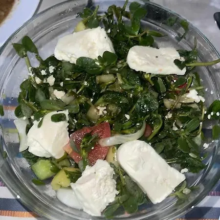 Bujtina Mana