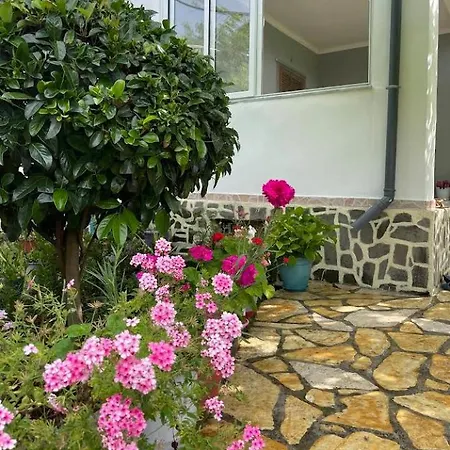 Διαμέρισμα Bujtina Mana Memaliaj