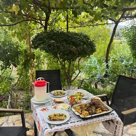 Bujtina Mana Appartamento